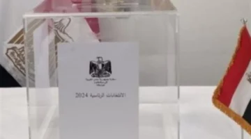 طرق سهلة.. تعرف على 4 وسائل مؤكدة لمعرفة لجنة الانتخابات بالرقم القومي في مصر 2025 عبر الهاتف والإنترنت